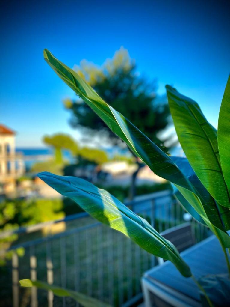 La Marinella Apartman Massignano Szoba fotó